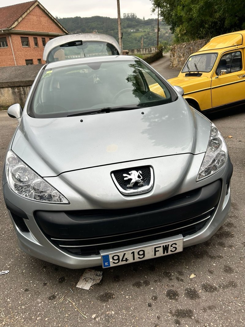 Peugeot 307 2007 - foto 1