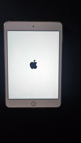 Apple iPad Mini 4 Plata