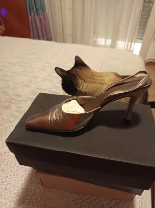 Zapatos de tacón LODI negros