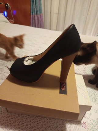 Zapatos de tacón LODI negros