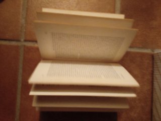 Diario de un inmigrante - Miguel Delibes