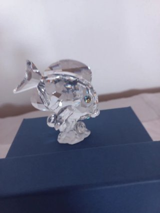 Figura Pesce Dottore Swarovski Crystal