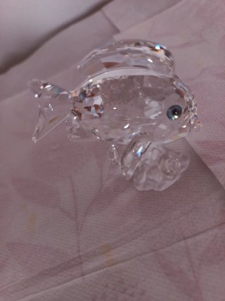 Figura Pesce Dottore Swarovski Crystal
