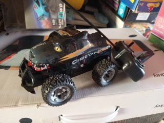Coche RC Negro con Diseño Animal
