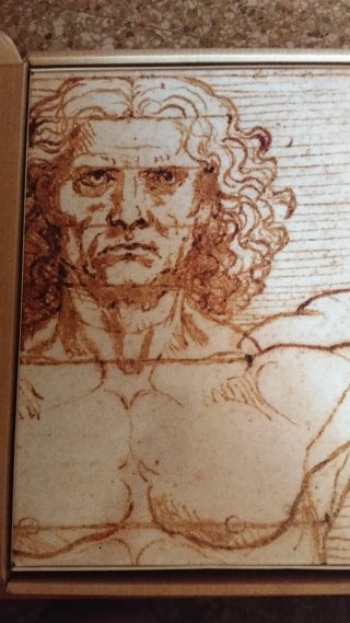 Libro Leonardo 500 Skel Colección Nuevo