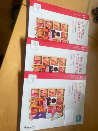 Llengua catalana, 6 Primària Projecte Saber fer