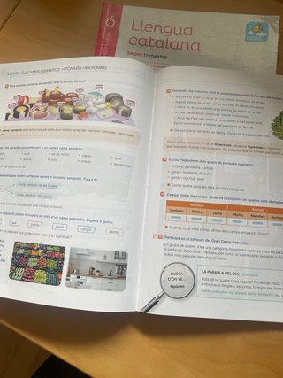 Llengua catalana, 6 Primària Projecte Saber fer