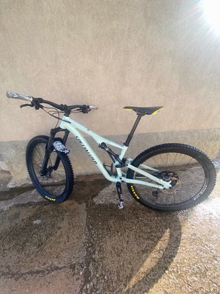 Bici Enduro Specialized