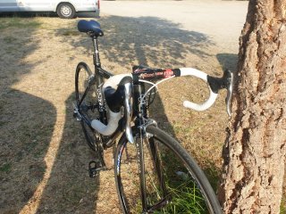 Colnago President Carbono
