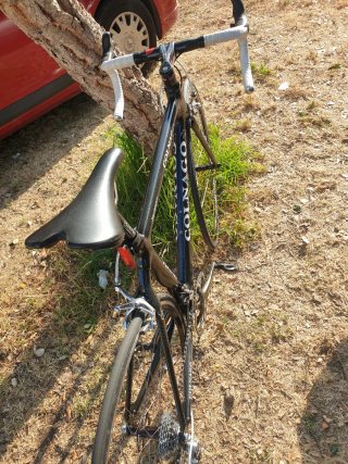 Colnago President Carbono