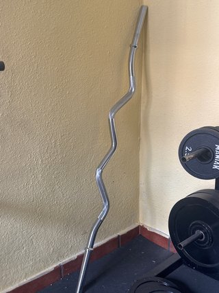 Barra Z y discos de pesas (30kg)
