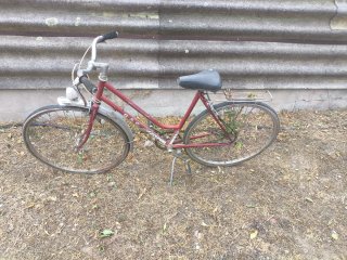 Bicicleta Geace Antigua