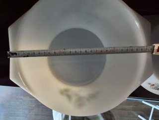 Sopera Arcopal Margaritas Blanca