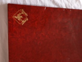 Delantal y pico fallero bordado