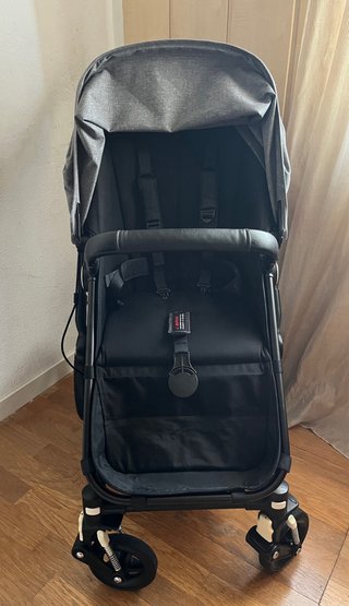 Bugaboo Camaleon3