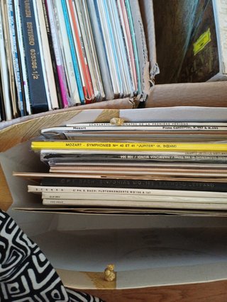 Vinilos de música clásica