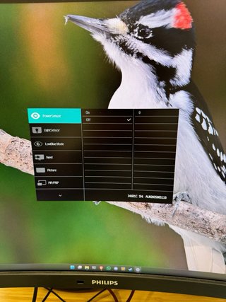Monitor Curvo Philips 34 WQHD USB-C KVM