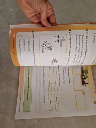 Lengua castellana y literatura 1 Primaria