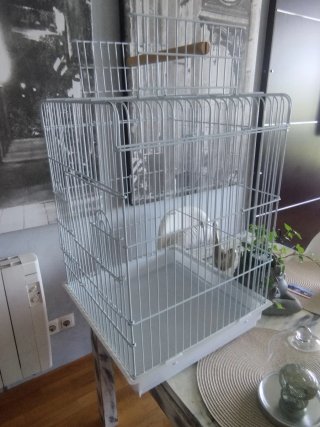 Jaula para pájaros (agapornis, loros, ninfas,etc.)