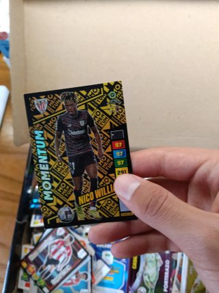 LOS VENDO DE 50 EN 50 A 20€ Cromos de fútbol Panin