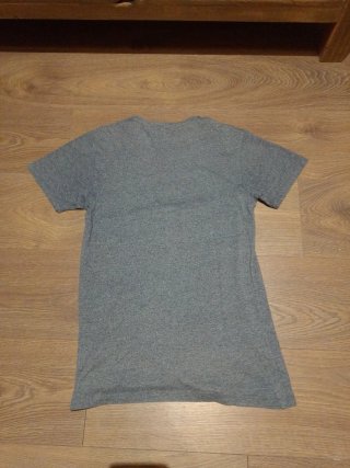 Camiseta Jurassic Park T-Rex Gris Roja