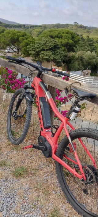 Bicicleta Eléctrica Trek Powerfly 4