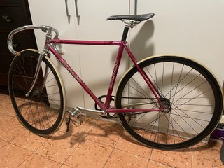 Bicicleta Colnago Piñón Fijo Talla 50