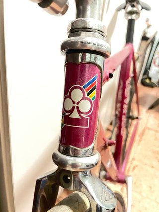 Bicicleta Colnago Piñón Fijo Talla 50