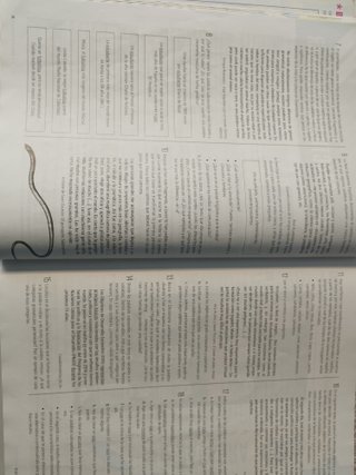 Lengua castellana y literatura 2 Secundaria