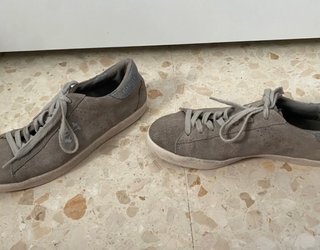 Zapatos Scalpers grises