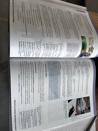 Lengua castellana y literatura 2 Bachillerato