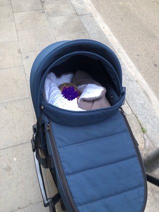 Capazo Babyzen Yoyo
