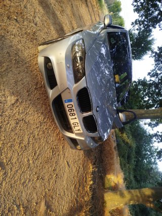 BMW Serie 3 2009