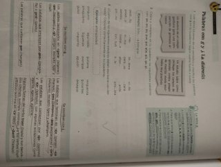 Lengua 5 Primaria