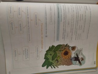 Lengua 5 Primaria