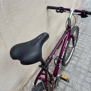 Bicicleta BH Top Line Talla M/L