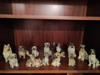 Collezione di figure in ceramica di cani e gatti