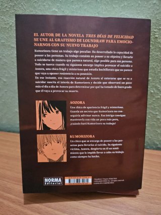 Tras el cielo gris