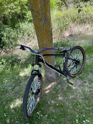 Bici de Stunt Negra