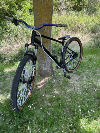 Bici de Stunt Negra
