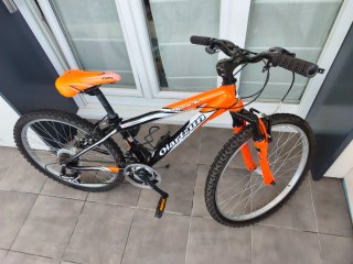 Bicicleta de Montaña Naranja