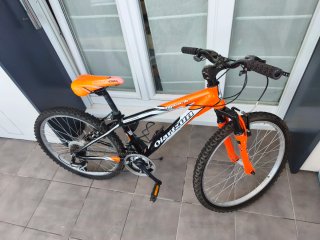 Bicicleta de Montaña Naranja