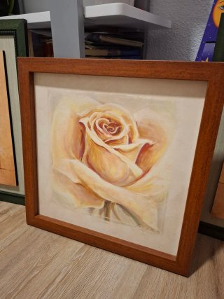 Cuadros decorativos flores beige y rosa