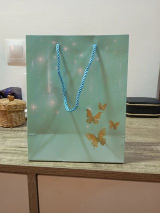 Lote de bolsos y zapatos y mas