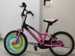 Bicicleta Monty Infantil Rosa