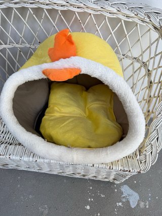 Cama para mascotas diseño de pollo