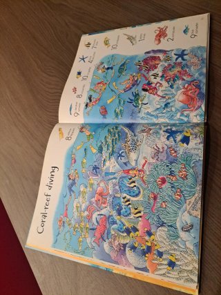 3 libros en ingles de "1001 things to spot"