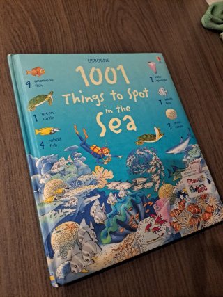 3 libros en ingles de "1001 things to spot"