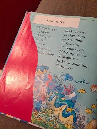 3 libros en ingles de "1001 things to spot"