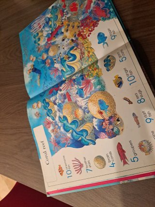 3 libros en ingles de "1001 things to spot"